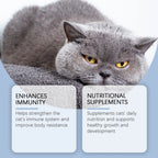 Yegbong 50ml Cat Vitamin Supplement Daily Care to Help Nutrition, Promote Growth, and Support Cat's Recovery, Vitamin Care Drops